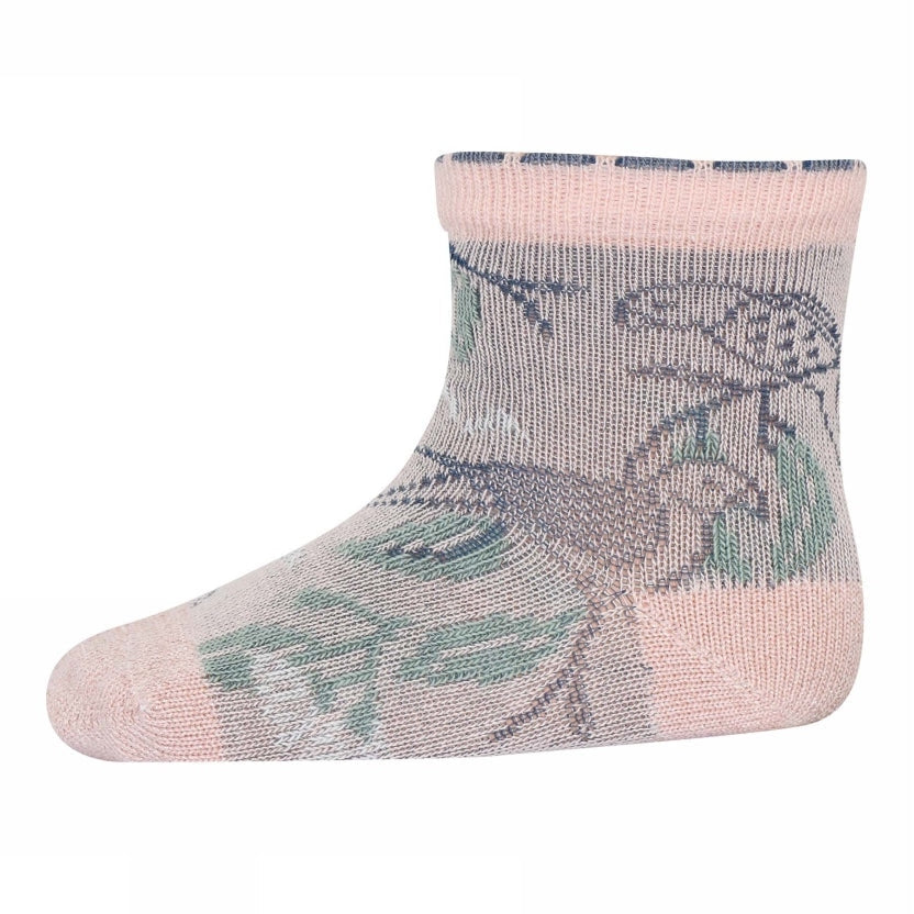 Ara Socken