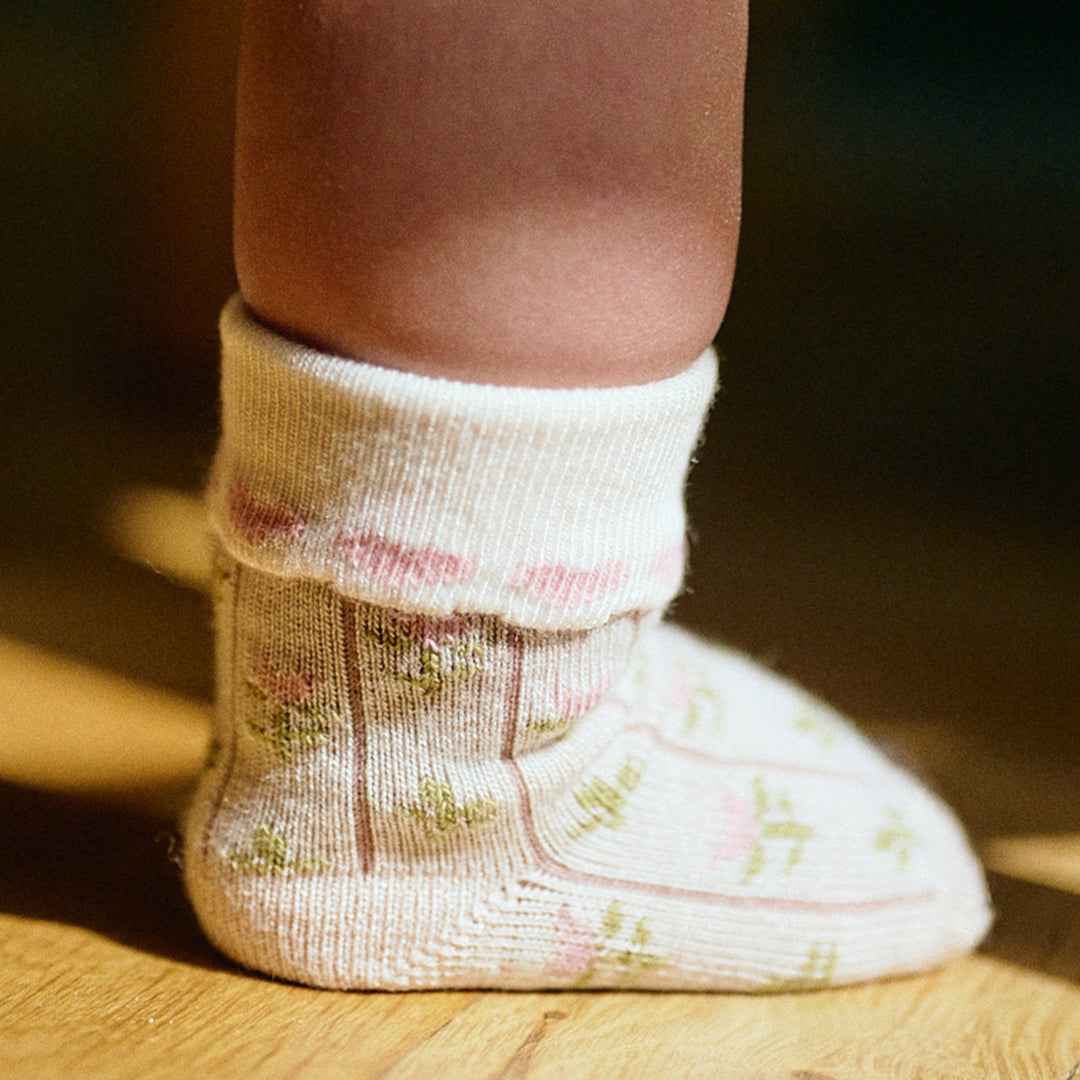 Nova Socken