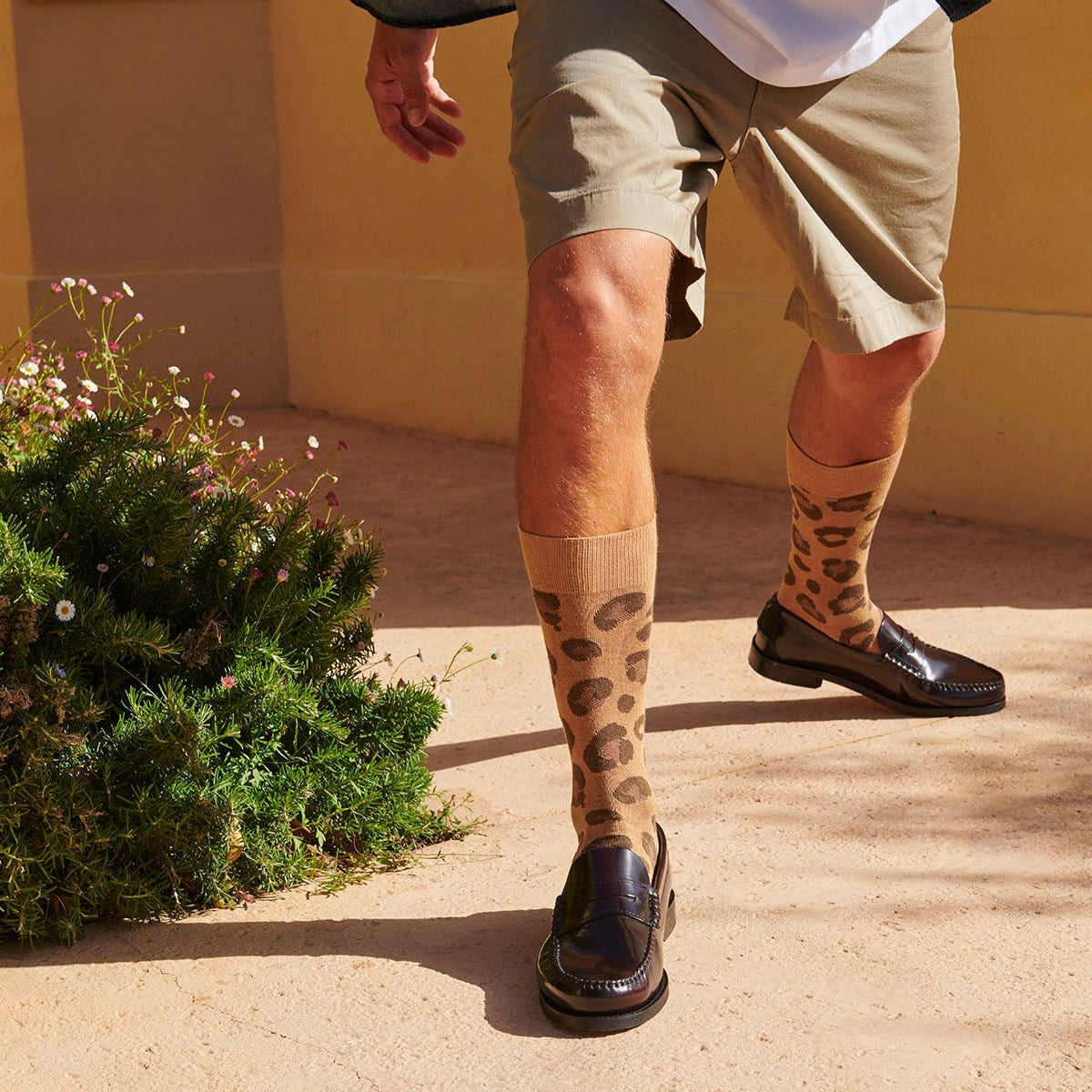 Bjarke Socken