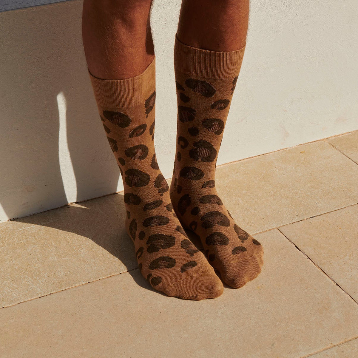 Bjarke Socken