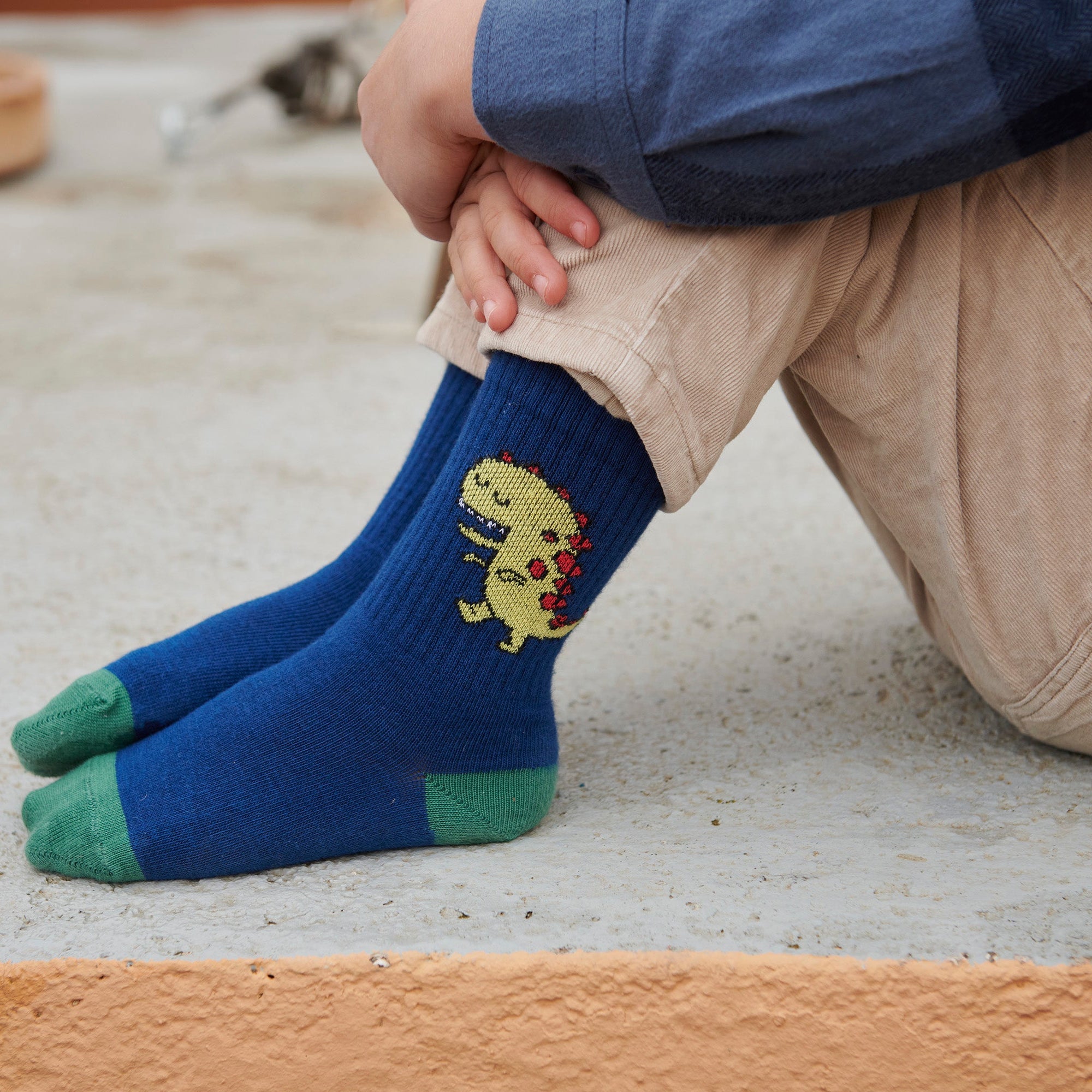Dinosocken