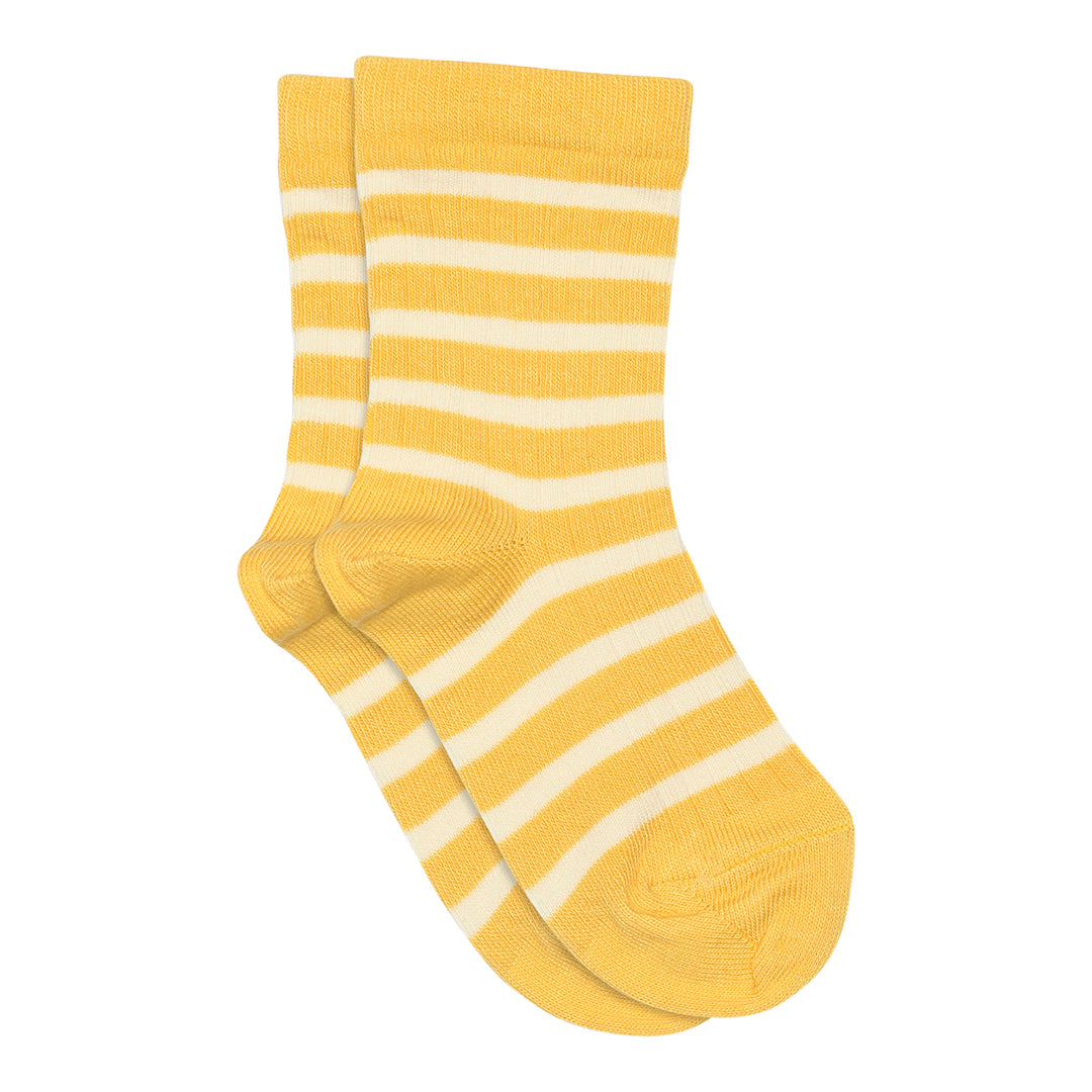 Eli-Socken