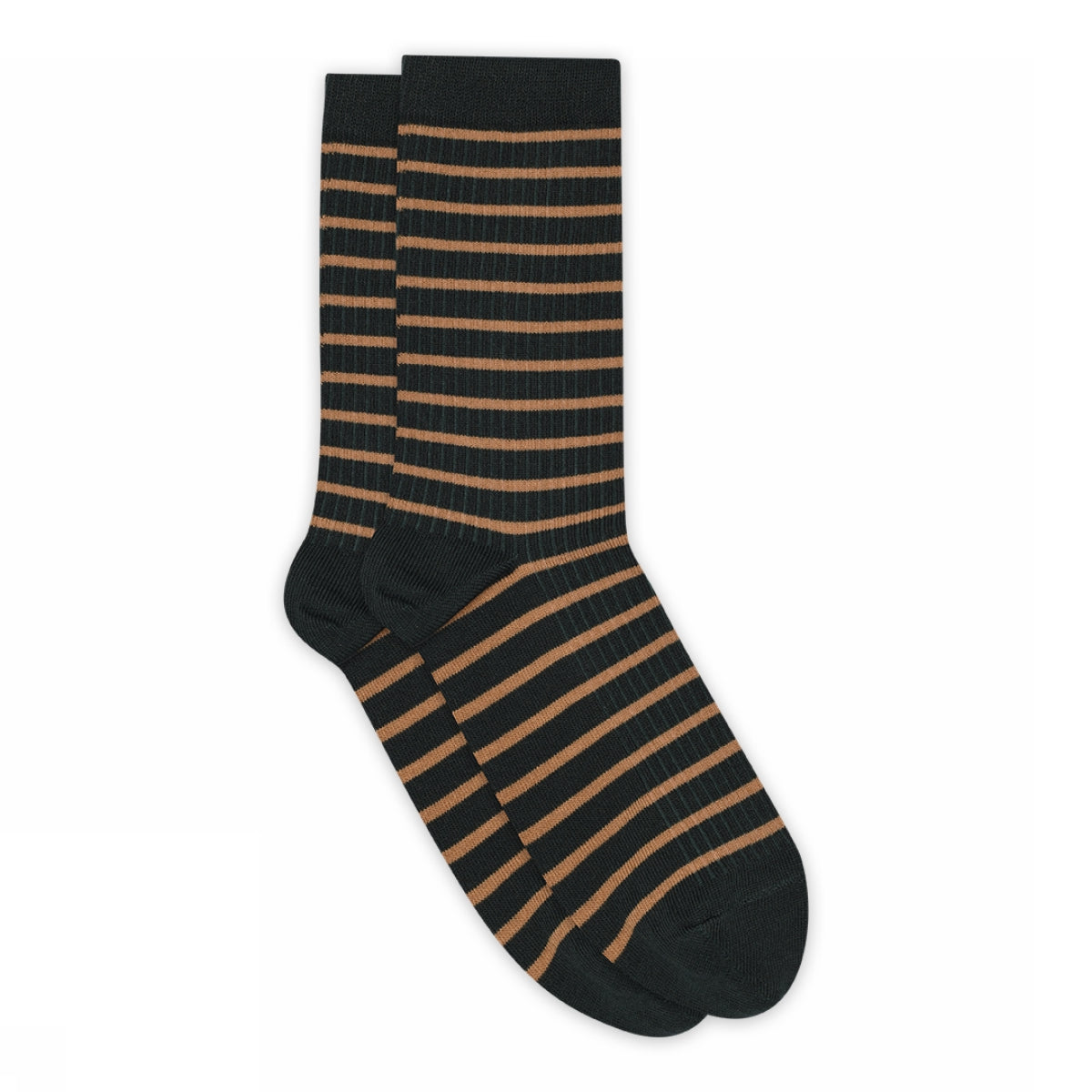 Lydia Socken