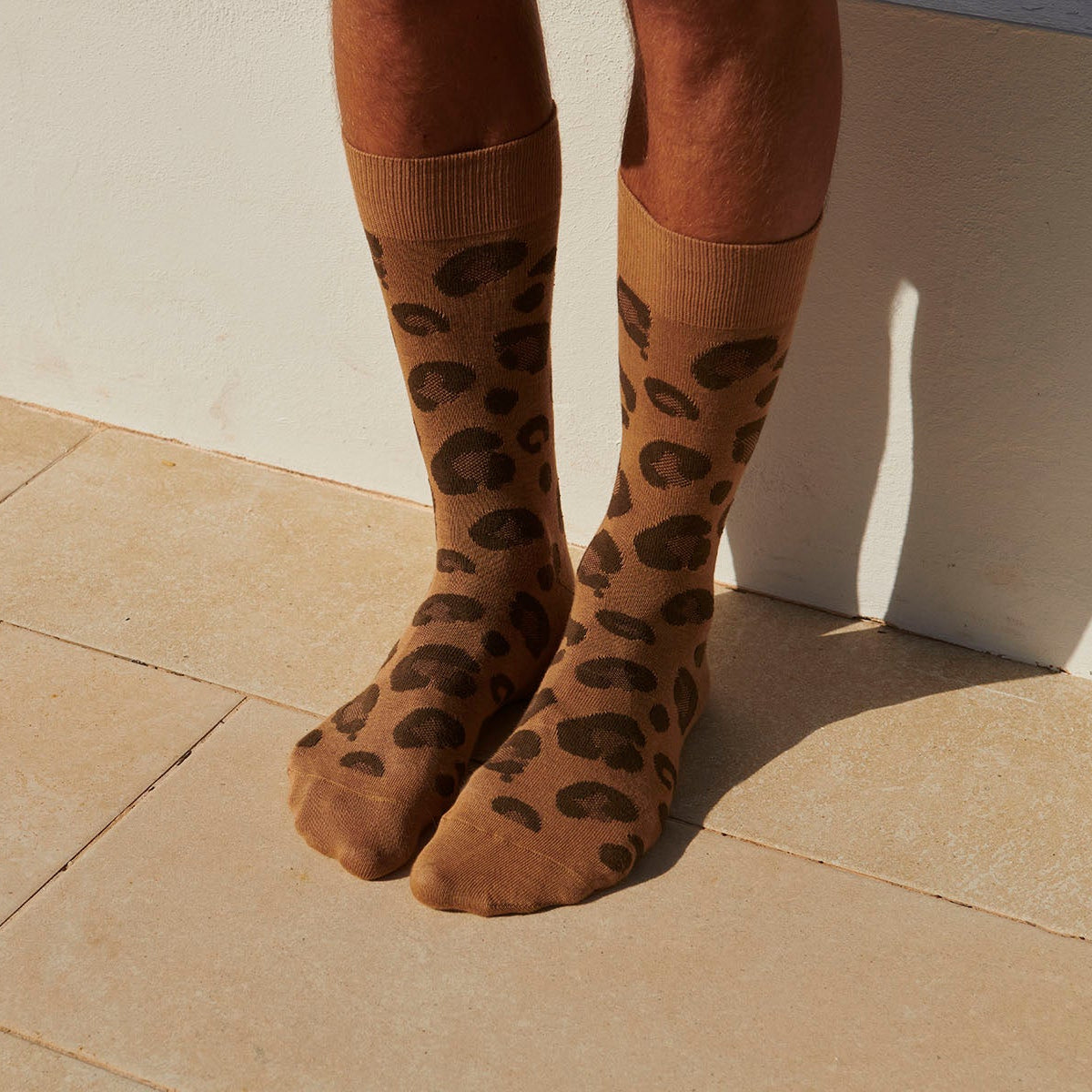 Bjarke Socken