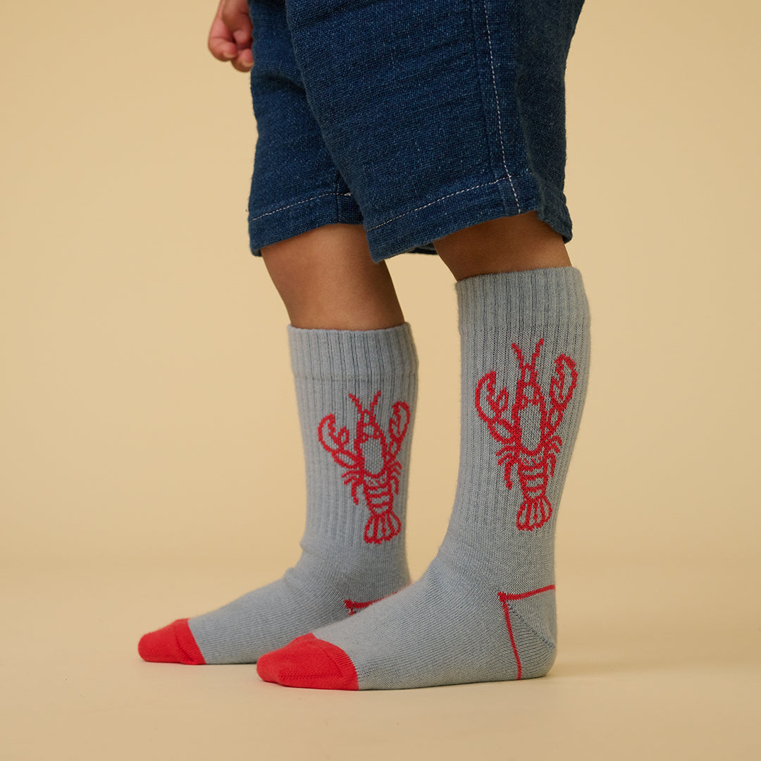 Lauge Socken